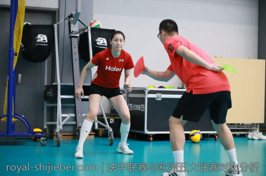 法甲联赛与欧洲五大联赛对比分析