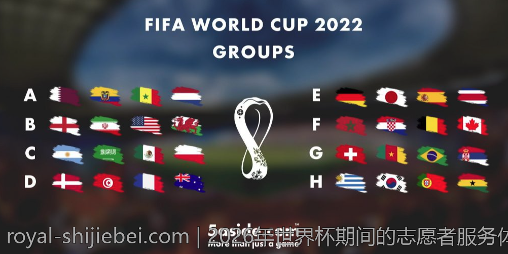 2026年世界杯期间的志愿者服务体验故事